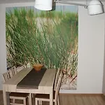 Polanki